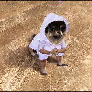 Meet your Posher, Taylor